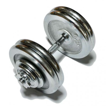 Гантель наборная 25 кг. FitLogic DB6020-25